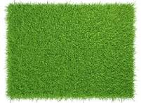 Artificial Grass